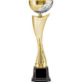 Puchar złoto-srebrny 4118