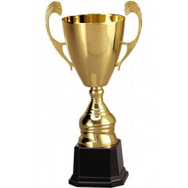 Złoty puchar 4104-N
