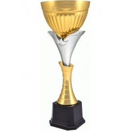 Puchar złoto-srebrny 4129